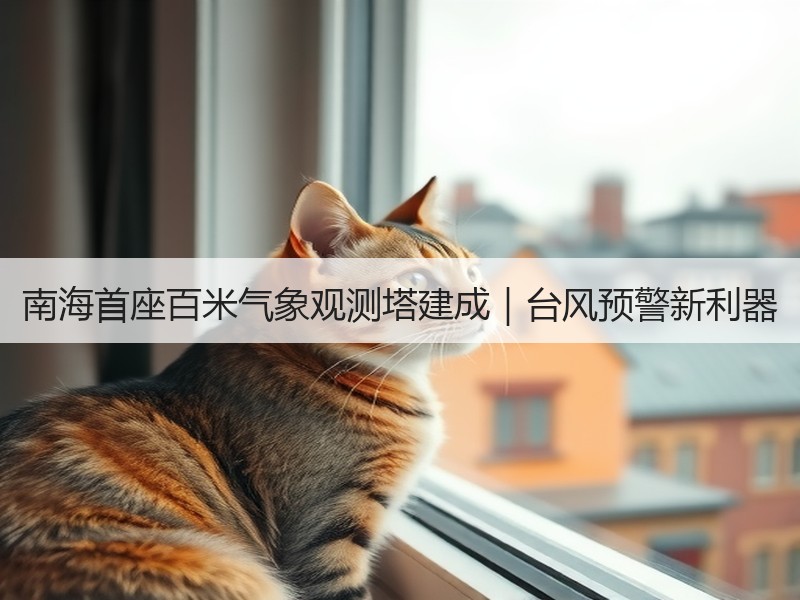 南海首座百米气象观测塔建成｜台风预警新利器
